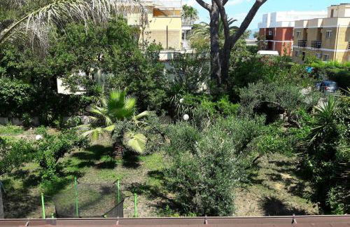 Stella di Mare - Foto 22