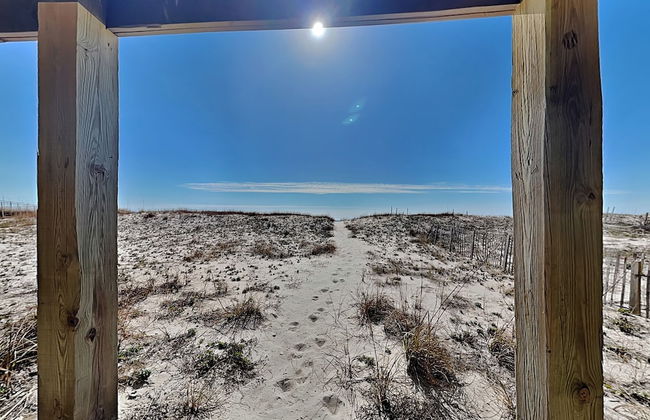 So Shell Distancing - Photo 32