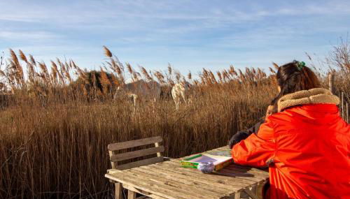 Mas des Oliviers, maison avec piscine privative et chauffée, 3 animaux acceptés LOCAMARGUE - Foto 4