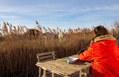 Mas des Oliviers, maison avec piscine privative et chauffée, 3 animaux acceptés LOCAMARGUE - Foto 4