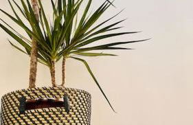 Windsor Coastal Retreat Whitley Bay Sleeps 9 - Foto 21