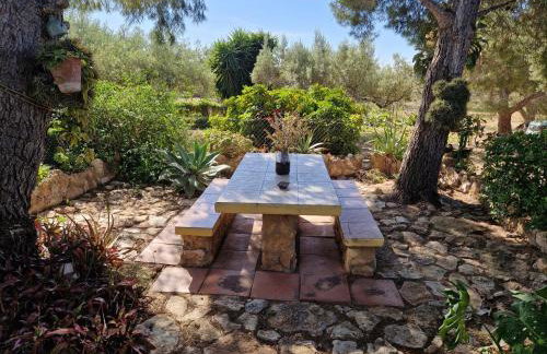 Lo Racó de Peret - Foto 21