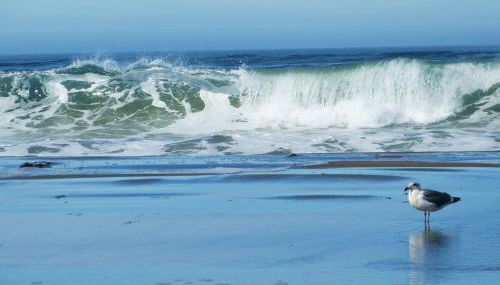 Sea Breeze! Walk to Beach!! In the Village! BBQ! Fast WiFi!! Dog Friendly! - Foto 5, Other