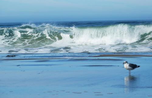 Sea Breeze! Walk to Beach!! In the Village! BBQ! Fast WiFi!! Dog Friendly! - Foto 5