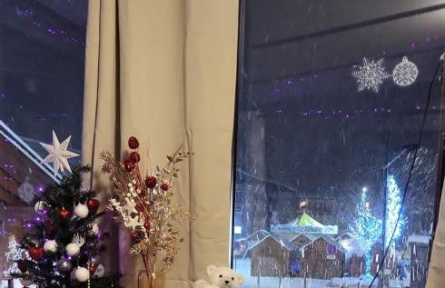 Duplex les Myrtilles LES CARROZ centre station - Photo 45