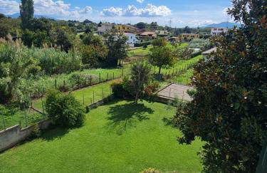 B&B Camera delle Camelie - Foto 23