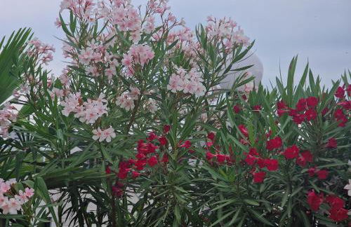 "Pier's House" - Attico a 3 chilometri dal Centro Città - Foto 65