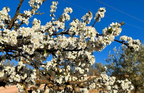 Casa de Campo La Mejorana Refugio entre olivos sin renunciar al confort - Foto 53