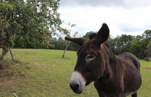 Maison périgourdine avec cheminée proche Monpazier - FR-1-616-106 - Foto 14