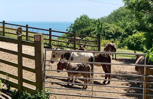 Wonkey Donkey Cottage - Photo 28