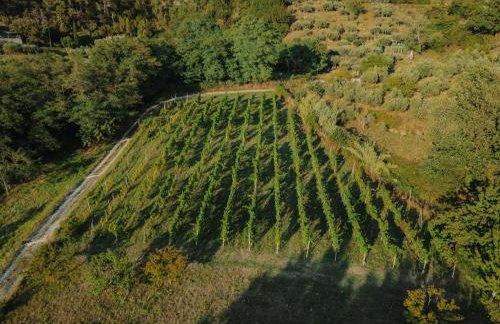 Appartamenti Borgo San Pietro - Foto 12