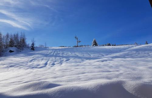 ski au pied, 3ch 2Sdb Garage Terrasse - Foto 52