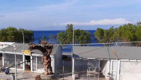 Sea Urchin Apartments 1st floor - Foto 4