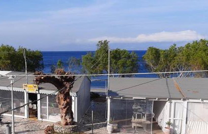 Sea Urchin Apartments 1st floor - Foto 4