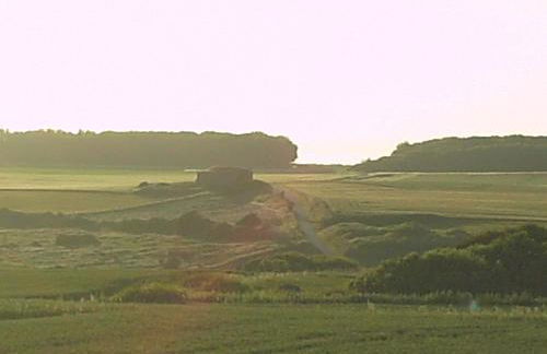 la clef des champs - Foto 14