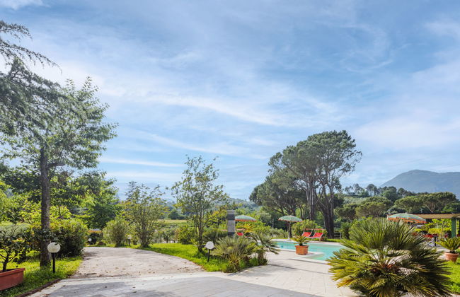 Verde Versilia - Foto 39