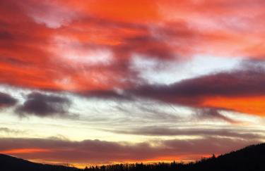 APARTAMENTY SZYNDZIELNIA NOWE BIZNESOWE STUDIO IDEALNA przestrzeń do PRACY i ODPOCZYNKU & PARKING - Workation - Bussiness Travel - Single Trip - Home Office - Delegacja - Służbowo - Foto 68