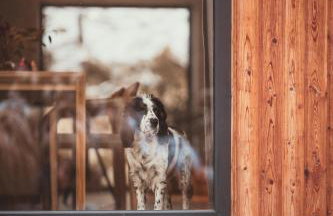 Rycerki Dom na Szlaku - Foto 11