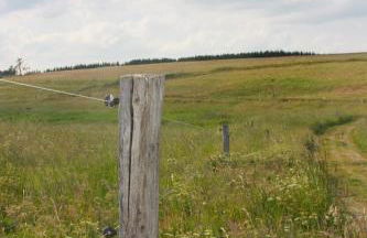 Harzhaus Drei Hexen - Foto 68