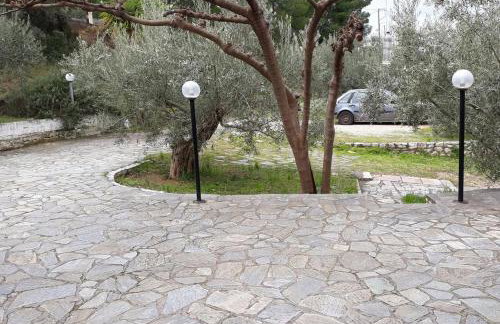 Σπίτι σε ελαιώνα, house in an olive grove - Foto 29