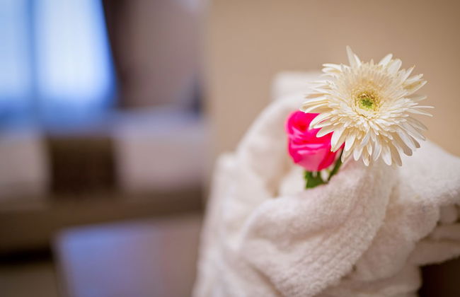 Delle Vittorie Luxury Suites & Rooms - Foto 14