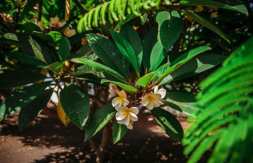 Casa Rural Morera - Foto 29