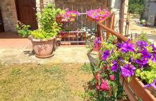 Agriturismo La Casina - Foto 18