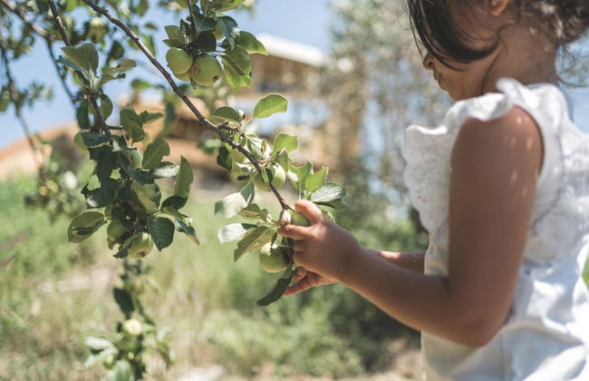 Fattoria Didattica La Collina Incantata - Photo 42