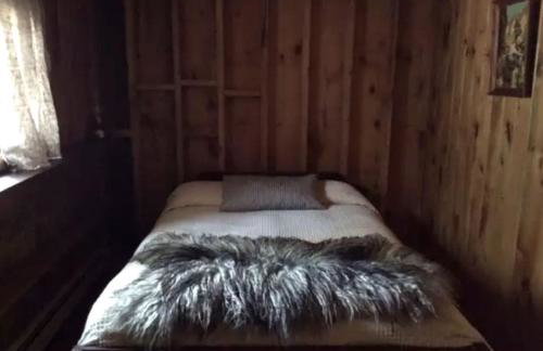 Rustic Cabin Retreat on the Ten Mile River in Narrowsburg, New York - Foto 4