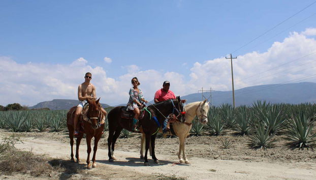 Enjoying the horse riding tour