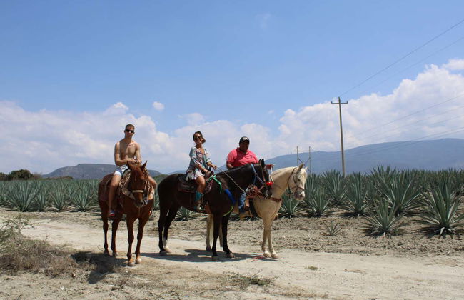 Passeggiata a cavallo a Oaxaca - Foto 3