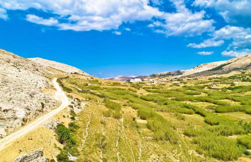 Galapagus privat beach & boat dock - Foto 35