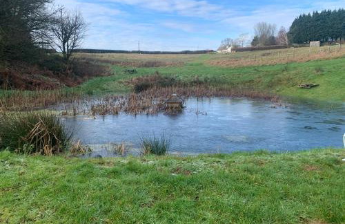 Static Mobile home set in our 20 acres of farmland - Foto 11