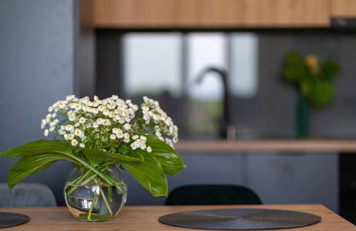 Apartament No 34 Green - Holiday Home Zator - Foto 8