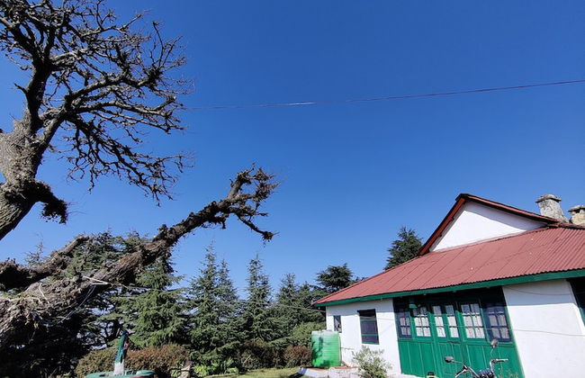 Pre Independence 2 BHK Bungalow,dalhousie,himachal - Photo 8