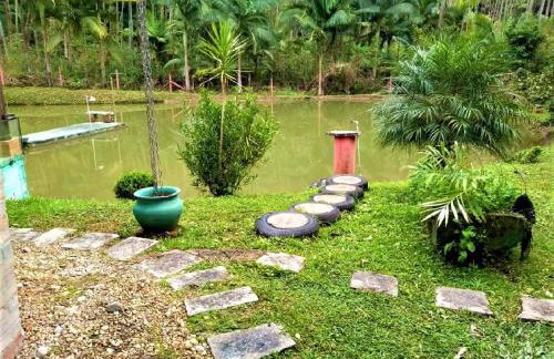 Sitio Libardo em Meio a Natureza - Nova Trento - Foto 120