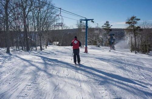 Charming Porter House in the heart of the Poconos chalet - Foto 36