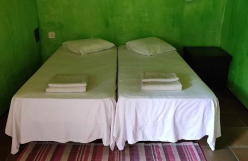 El Terral - Photo 16