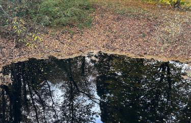 Chez Alexandrine Havre de paix romantique & bucolique Sous les étoiles exactement et proche des châteaux de la Loire et du Parc de Beauval - Foto 26