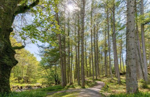 Fern Cottage - Foto 20