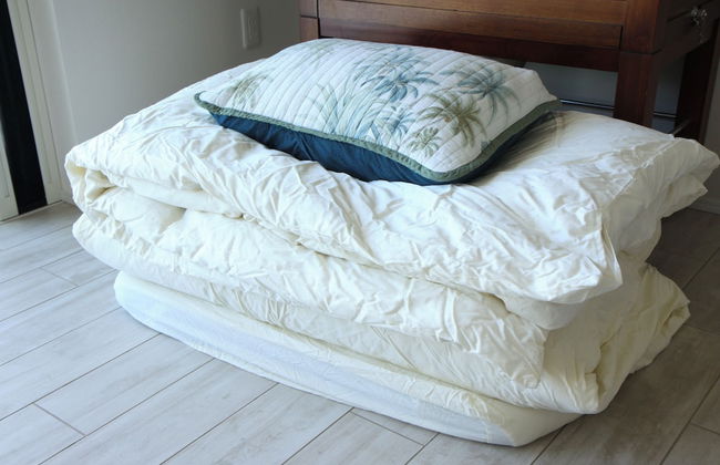 Hale Kotsubo - Foto 8