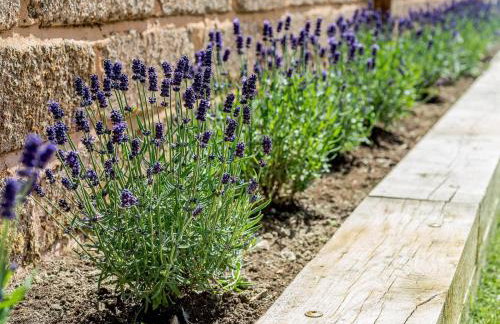 2 Bed in Sidmouth oc-50004 - Foto 22