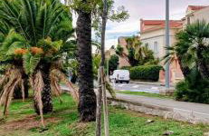 Studio saint raphael port santa lucia - Foto 32