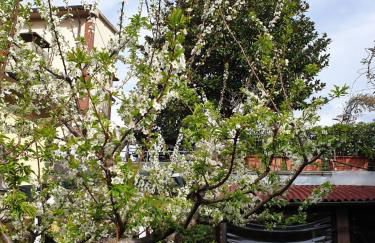 Creativ hause - Foto 26