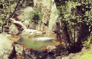 La Casa de Abajo - Photo 25