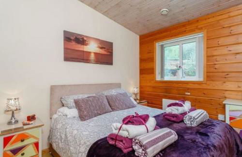 Luxury Peak District lodge, hot tub, log burner, nr lake - Photo 3