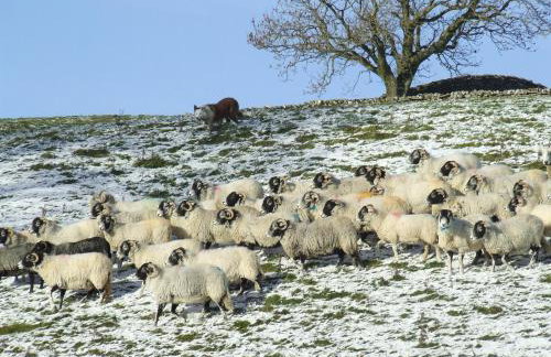 Old Camms Holiday Cottages - Photo 38