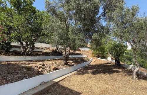 Solar dos Lirios - Foto 72