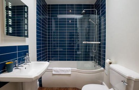 Cornflower - Foto 15