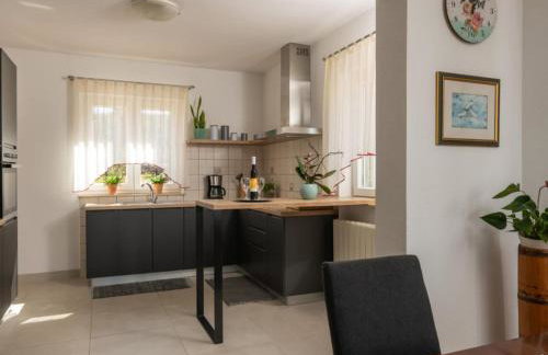 Breg Ivanovci - Three Bedroom Villa with Swimming Pool - Photo 13